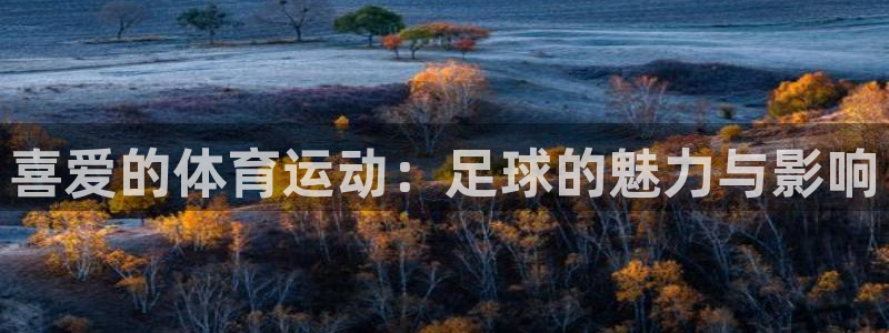 球王会体育