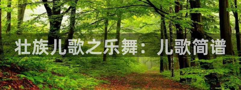 球王会体育
