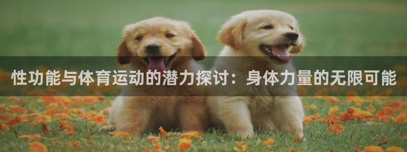 球王会体育