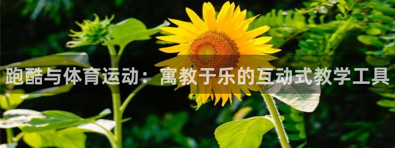 球王会体育