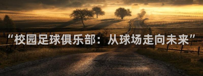 球王会体育