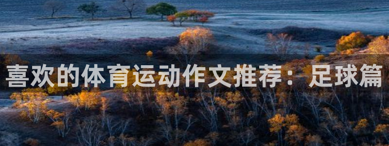 球王会体育