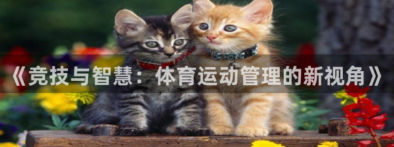 球王会体育
