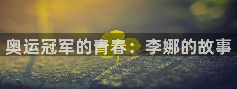 球王会体育