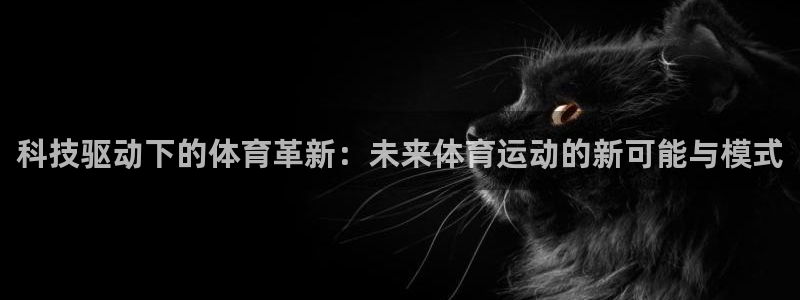 球王会体育