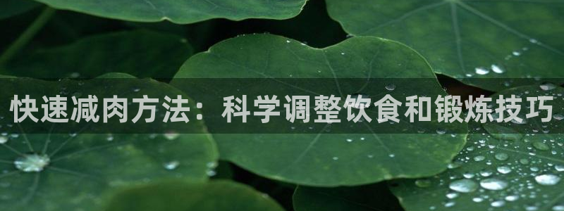 球王会体育
