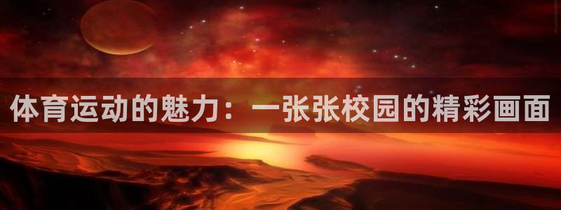 球王会体育