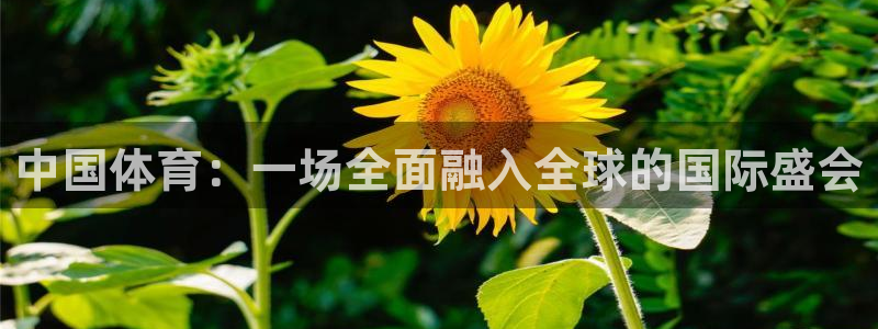 球王会体育
