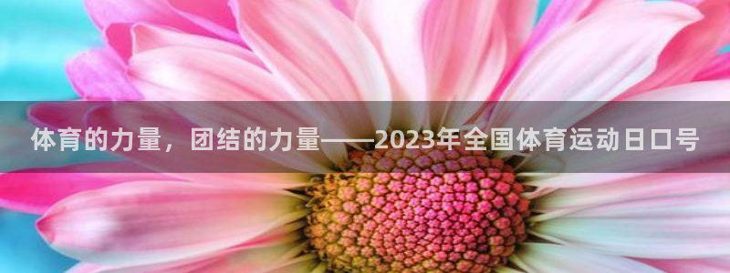 球王会体育